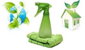 organic-cleaning-for-your-home-550x327