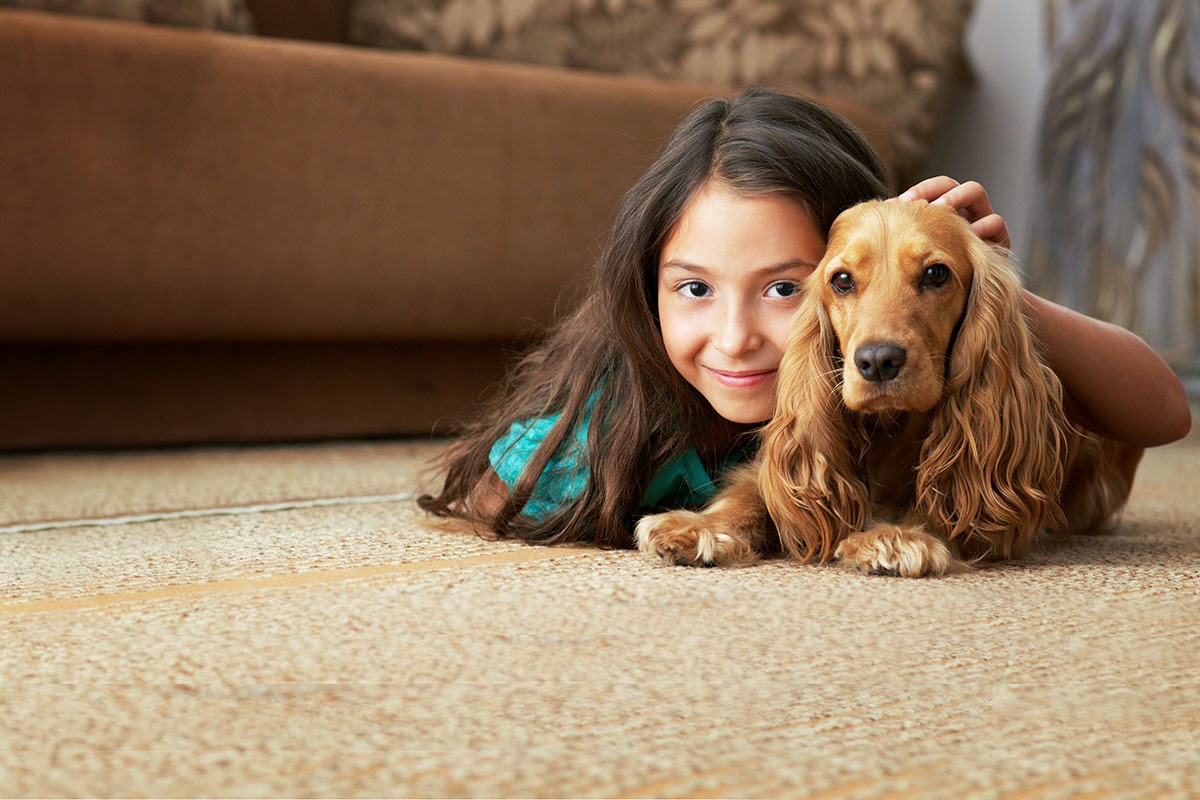 Bond Cleaning Maitland End of Lease Home Cleaning Services